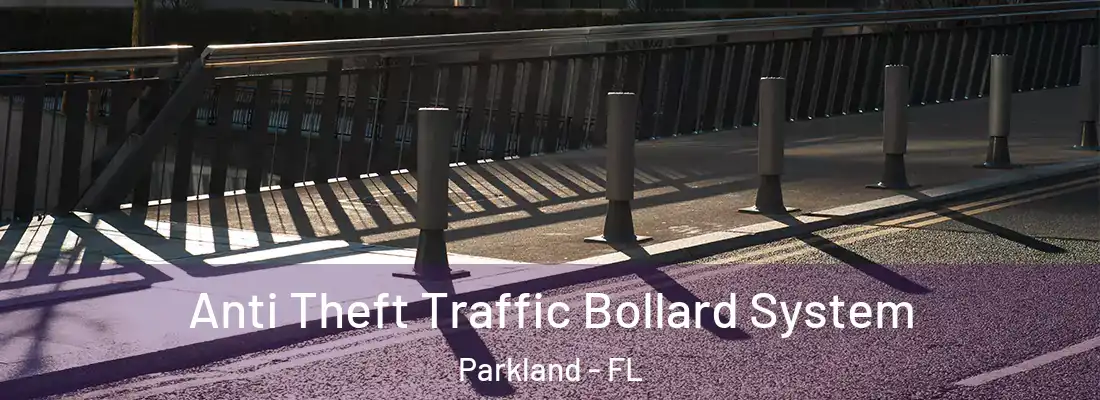 Anti Theft Traffic Bollard System Parkland - FL