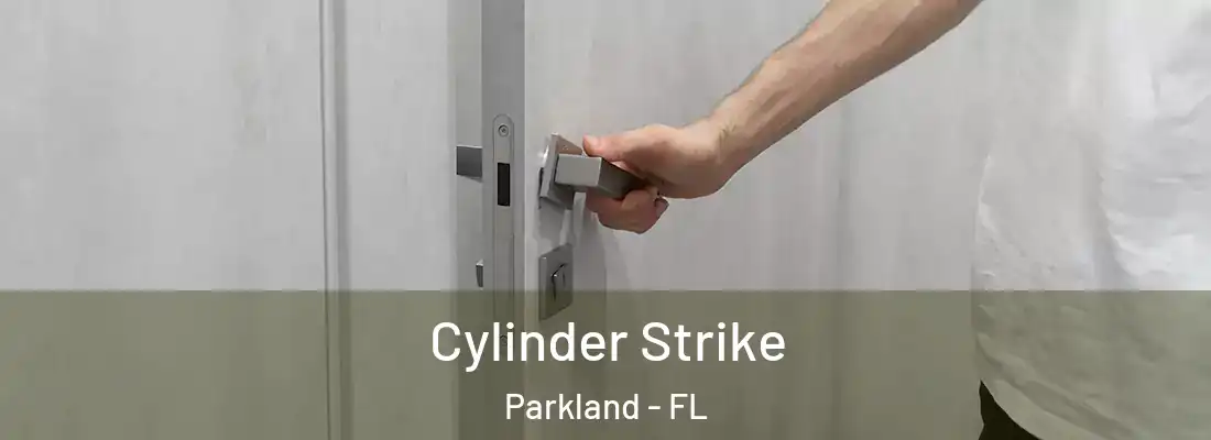 Cylinder Strike Parkland - FL