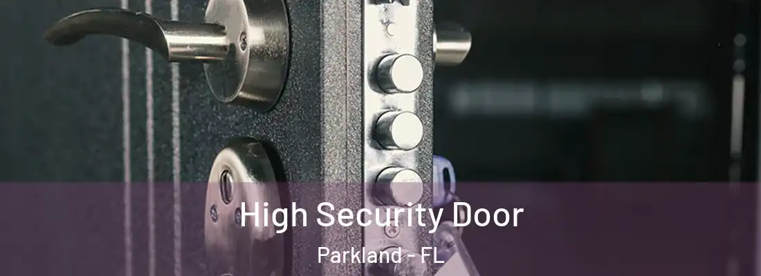  High Security Door Parkland - FL