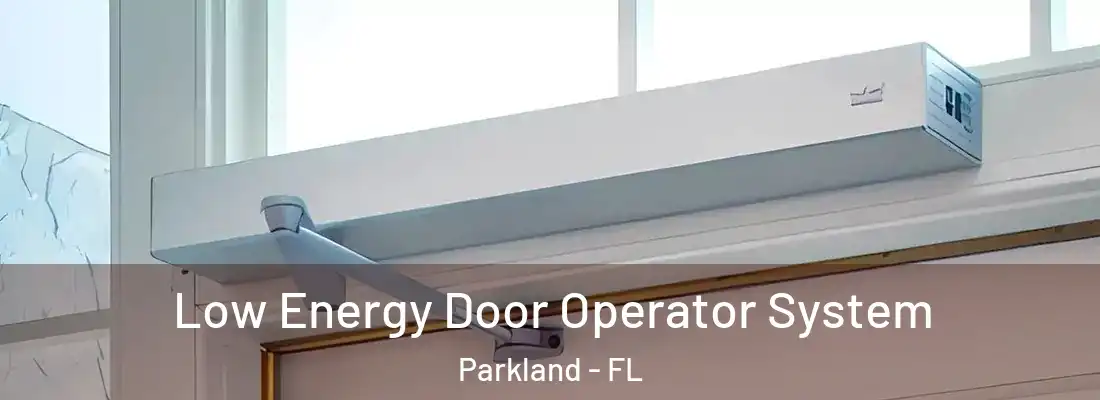 Low Energy Door Operator System Parkland - FL