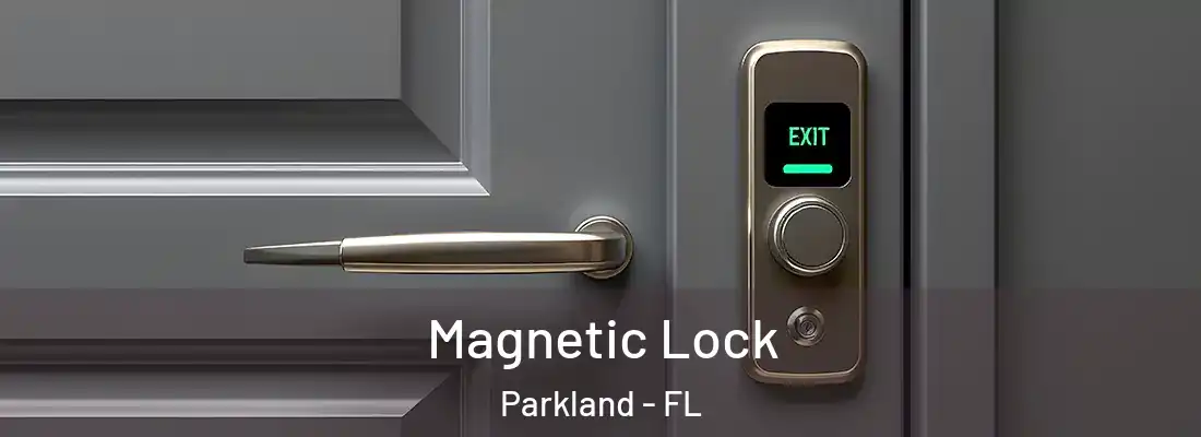  Magnetic Lock Parkland - FL